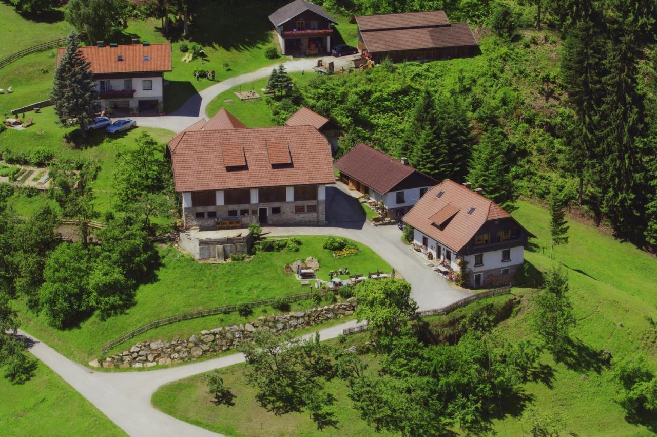 Gaestehaus Berger - Priglhof Treffen Buitenkant foto